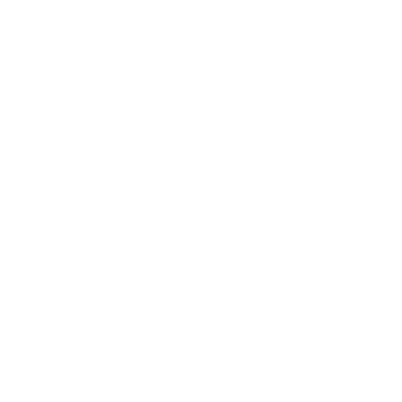 odis consultants